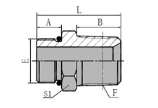 SAE  O-RING  BOSS/BSPT  MALE