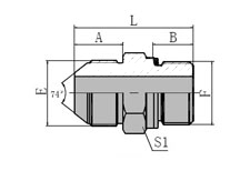 Metric Male 74 Cone/BSP Male O-ring