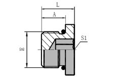 SAE  O-RING  BOSS  HOLLOW  HEX  PLUG