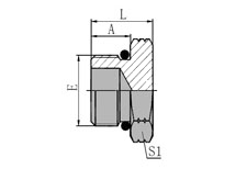 SAE  O-RING  BOSS  PLUG