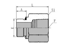 BSP  MALE  O-RING/BSPT  FEMALE