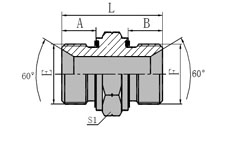 BSP MALE 60 SEAT CAPTIVE SEAL