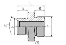 BSP MALE 60 SEAT/METRIC MALE O-RING