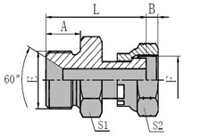 BSP  MALE  60  SEAT/ORFS  FEMALE