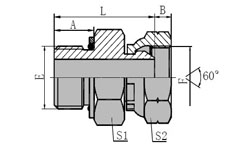 METRIC  MALE  O-RING/BSPP  FEMALE  60   CONE