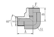 90 BSP  MALE  60 SEAT/BSPT  FEMALE