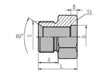 BSP  MALE  60  SEAT/INCH  SOCKET-WELD  TUBE