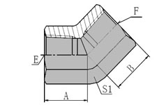 45 BSP FEMALE