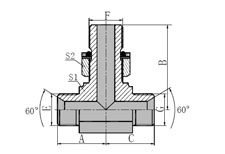 BSPP MALE/BSPP MALE O-RING/METRIC MALE