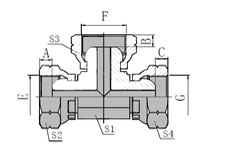 BSP  FEMALE  MULTISEAL