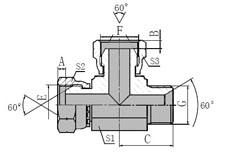 BSP  FEMALE/BSP  FEMALE/BSP  MALE