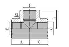 BSP  FEMALE