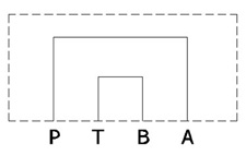 PHB223