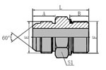 Japanese Metric Thread 60° Cone Fitting