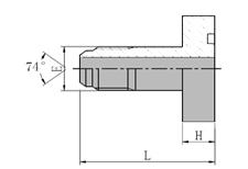 Male 74 Cone/SAE  Flange