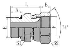 BSP MALE O-RING/METRIC FEMALE 74 SEAT