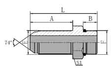 JIC MALE/SAE O-RING BOSS