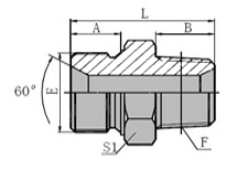 Metric Male 60 SEAT/BSPT Male