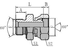 Metric Male 60 Seat/metric Female 60 Cone