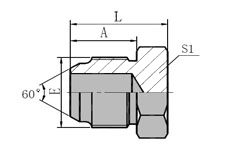 Metric Female  60 Cone