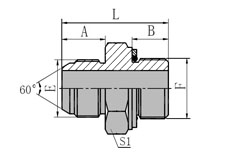 JIS GAS Male 60 Cone/BSP Male With O-ring