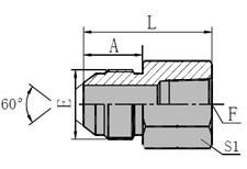JIS GAS Male 60 Cone/BSPT Female