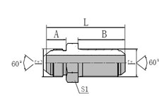 60 JIS GAS Male Bulkhead