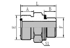 Metric Male O-ring/BSP Male O-ring