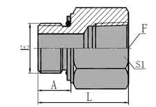 BSP  MALE  O-RING/NPT  FEMALE