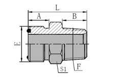 ORFS  MALE/BSPT  MALE