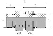 SAE  O-RING BOSS