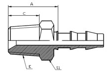 BSPT Male