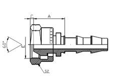 BSP Female 60° Cone Seat