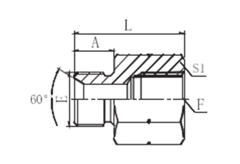 BSP MALE DOUBLE USE FOR 60° SEAT OR BONDED SEAL