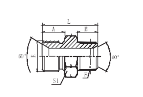 BSP MALE DOUBLE USE FOR 60° SEAT OR BONDED SEAL