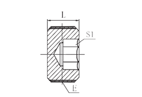 BSPT MALE HOLLOW HEX PLUG