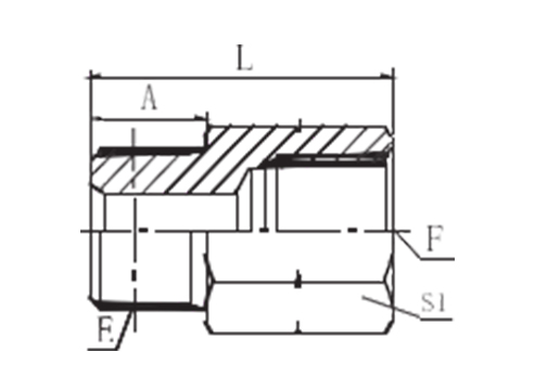 BSP MALE /  BSPT FEMALE