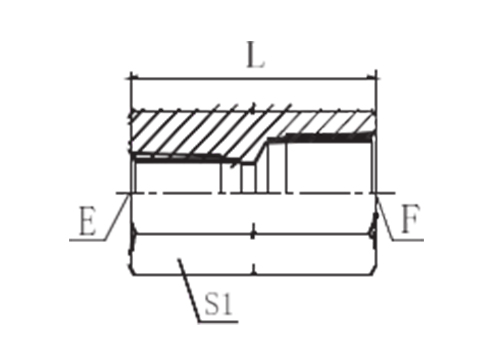 BSPT FEMALE