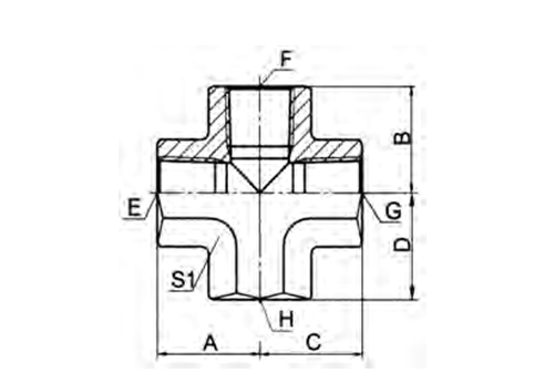 BSPT FEMALE CROSS