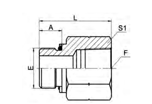 BSP MALE O-RING/ BSPT FEMALE