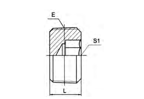 NPT MALE HOLLOW HEX PLUG