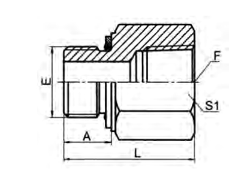 BSP MALE O-RING / NPT FEMALE