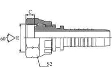 BSP Female 60º Cone