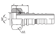 BSP Female 60°cone