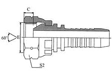 BSP Female 60º Cone