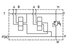 PHMS213