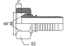 Metric Female 60º Cone