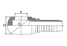 BSP Banjo