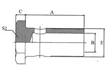 BSP Bolt