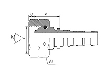 BSP Female 60° Cone O-ring